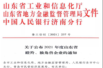 恭喜海博電氣成功獲評2021年度山東省瞪羚企業(yè)