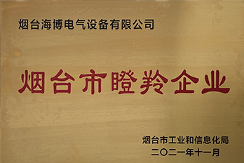 恭喜海博電氣成功獲評2021年度煙臺市瞪羚企業(yè)